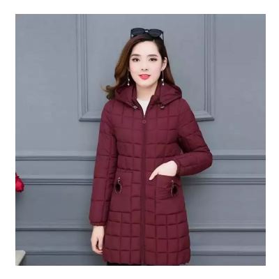 Latest Down Jacket For Women